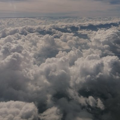 AStorni9090's profile picture. 🌸