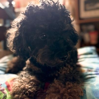 gurasan___madao's profile picture. 株式投資とFPSとスト6で常に闘ってる者です🫡(動画制作を趣味でかじってます)