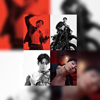 aleynakaya12198's profile picture. 