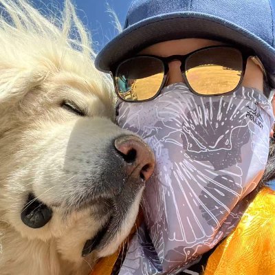 Cloenie557's profile picture. Game Designer & Indie Game Dev
AI Game Development Researcher