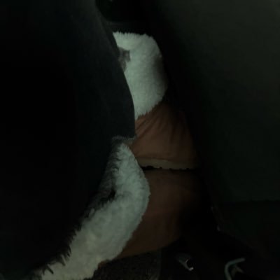 futureinthesea's profile picture. 