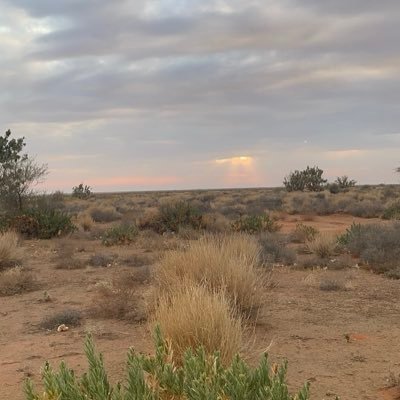 saad_naer's profile picture. Saad |