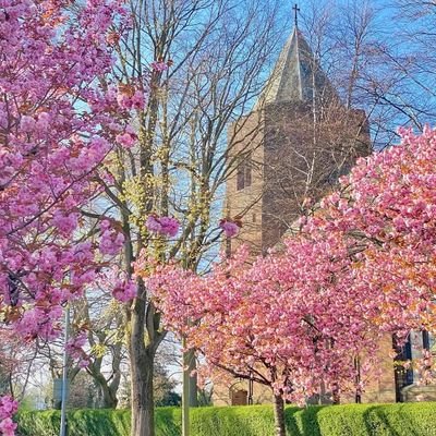 lilybelle4324's profile picture. 