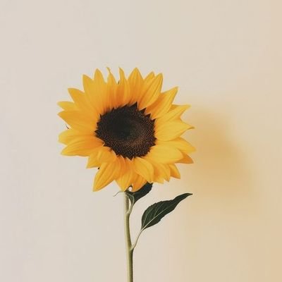 TriniGirlMagic's profile picture. 🇹🇹