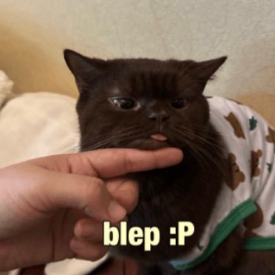 leepangcho's profile picture. -personal/fan acc- ♡ @NapatJunior ♡ is special to me •ATLAS (people.) a gift from God• u・u เติมเจ่งปุ๋งing