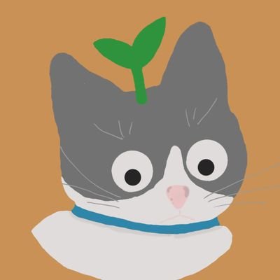 MarottoLeo's profile picture. Midas reverso