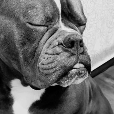 Roberto2879981's profile picture. 