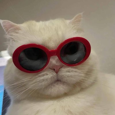 SKershner83455's profile picture. 