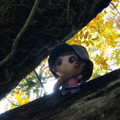 PPP3059468's profile picture. 佑芽ちゃん担当でゆるーく学マスやってます！！/同担他担🙆‍♀️/関東圏18↑🚹/📷 pentax k-1 mark ii