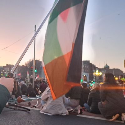 Niamhmthornton's profile picture. Free Palestine 🇵🇸 Proud Paddystinian 🇮🇪  Housing is a Human Right. Trans Rights are Human Rights. Abortion is Healthcare. Woke, liberal snowflake (She/her)