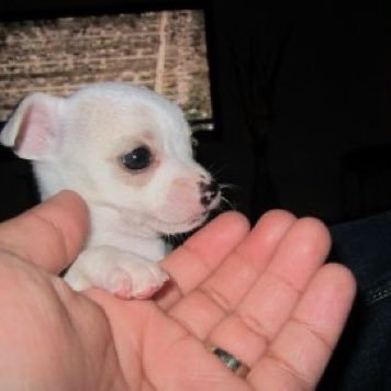 ookskkii's profile picture. 