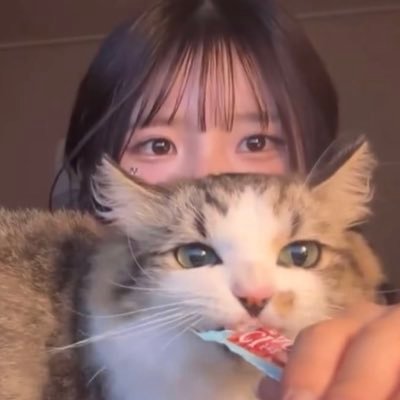 toast970929's profile picture. 