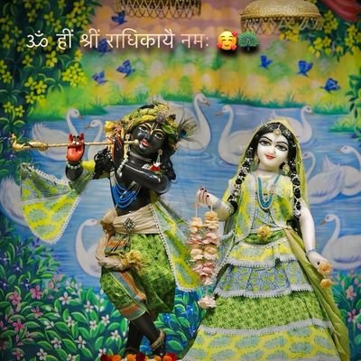 SanataniSoul12's profile picture. ‼️🪷राधे राधे🪷‼️