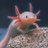 EmanueruL_'s profile image