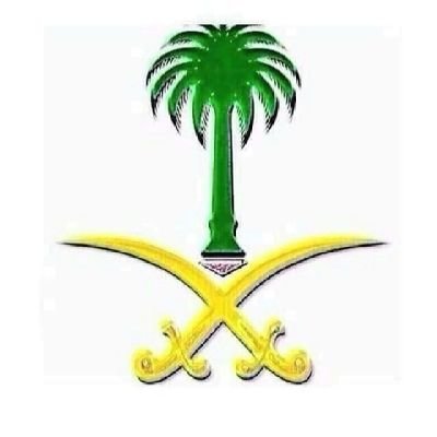 Magef317331's profile picture.