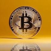 SsCrypto88's profile picture. 