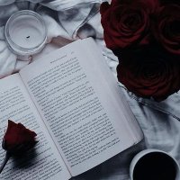 تسنيم محمد (@mmmmn51476) 's Twitter Profile