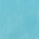 Chomosuke_0o0's profile picture. @Chomoda_zZ sub ￤ cosplay ￤雑多アカ