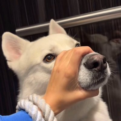 tkrpgks's profile picture. whoever supports child marriage is not allowed here