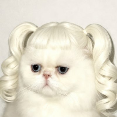 jingjiniz's profile picture. 入门请私信 🚪388/600/888 备用机@xuwanjing14(只有两个号 其余全是假的)