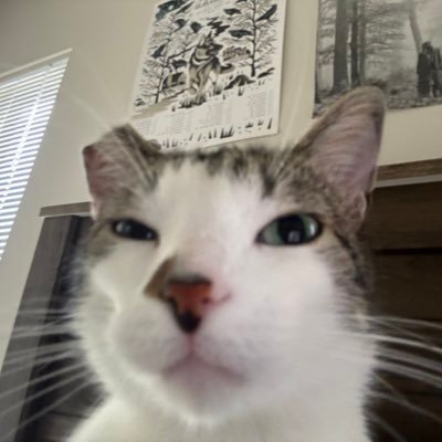 GirlbossSIay's profile picture. jorking my peanits