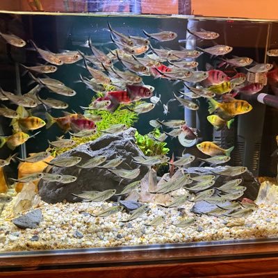 w1476e's profile picture. 核心价值：聚合全球优质资源，赋能Web3生态 作为专注于区块链与Web3领域的导航平台，EthNav致力于为开发者、投资者、爱好者提供最全面的工具入口与最前沿的行业资讯。无论您是初入圈的新手，还是深耕多年的专家，这里都能满足您对效率、安全与创新的需求。