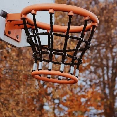 bright_folly's profile picture. 