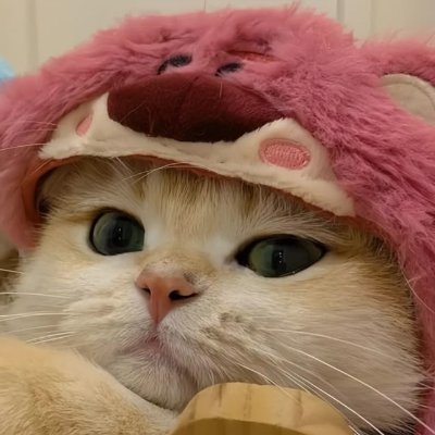 kam1896821's profile picture. 