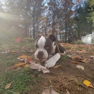 mfactor72's profile picture. 