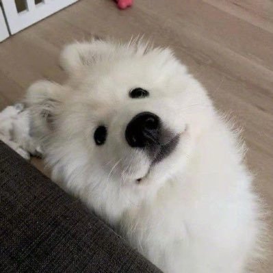 pippodeklek's profile picture. ถ้าใจสะอาด น้ำไม่ต้องอาบก็ได้