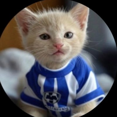 00X1945_'s profile picture. regiomontana con gustos refinados hacia gatitos, rayados, barcelona, justin bieber, música variada y el gran defecto de ser heterosexual