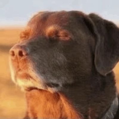 arandomboy_1's profile picture. THIGH LOVER 💞, GRADUATE🎓