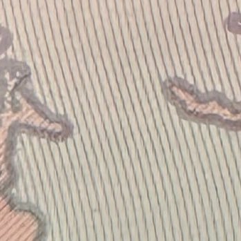 ProTraderWes's profile picture. 