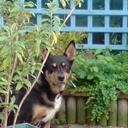 vicky mackay - @vicky_mackay - Twitter