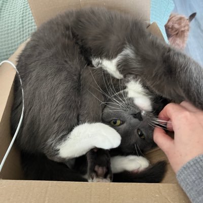 AEloiseKay's profile picture. retired actress, singer and musician (piano, clarinet, sax, guitar and kazoo)