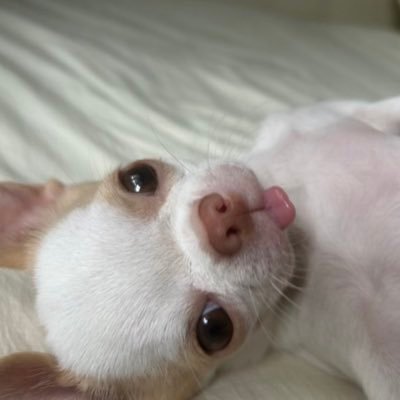 7bakayaroid7's profile picture. 구독!!