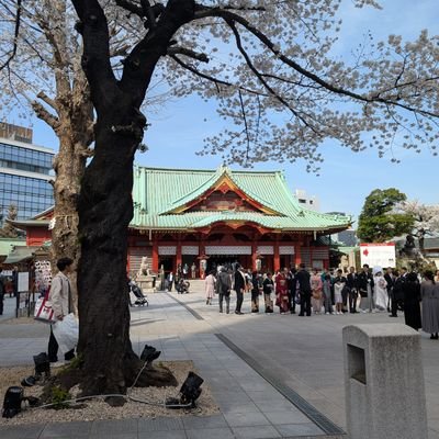 gwen_pizacoro's profile picture. 結局電音部しか勝たん