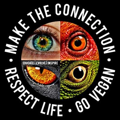forevervegans's profile picture. LET'S VEGANIZE 🌍
MAKE THE CONNECTION 
#GoVegan #SaveEarth #BeHappy