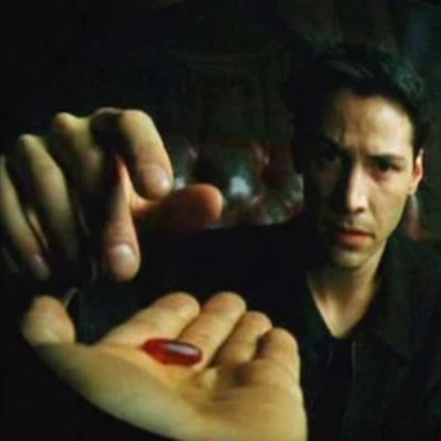 0xerdem's profile picture. 