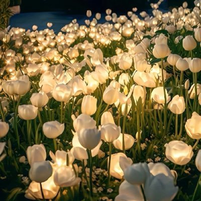 Debs_privacy's profile picture. It costs nothing to be kind.