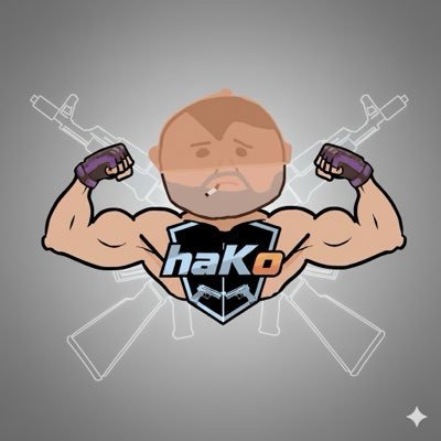 haKo_cs's profile picture. CS enjoyer, skin enjoyer. Trading and collecting Cs items as a hobby