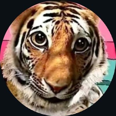 iamhamadtariq's profile picture. suggest me an interesting android game