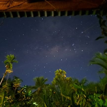 bukuastronomi's profile picture. stargazer & writer | tweets science, books, memes and rl stuff | 22/50 📚 | RT about 🍉 a lot