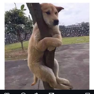 WickyMarits's profile picture. 