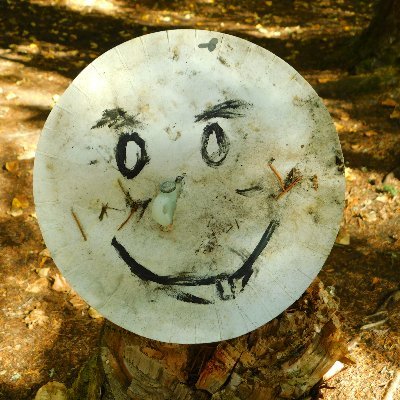 mrmikehunt73's profile picture. 