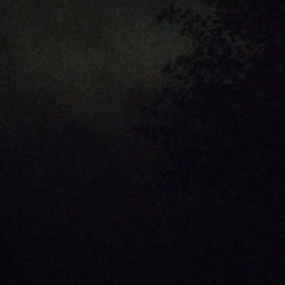 danperyo's profile picture. Growth operator. Student of people.

DM for action.