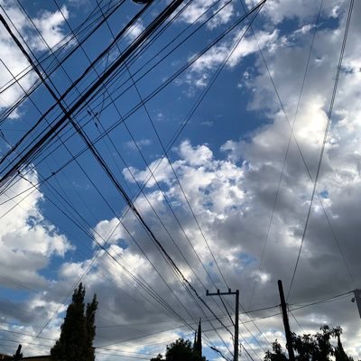 vaneveb's profile picture. andando nomás