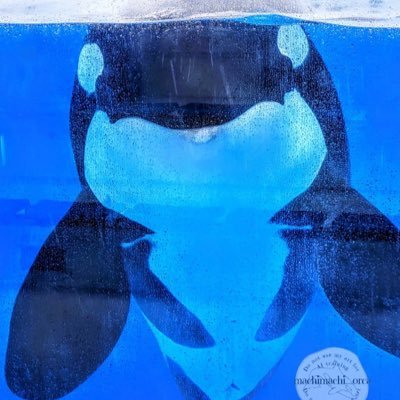 Salsaontheside3's profile picture. Get the funk outta my face