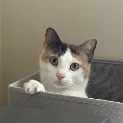 Mase2__'s profile picture. Mase#8937 | NFA