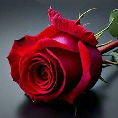 BtwlAm78979's profile picture. تابعني اتابعك